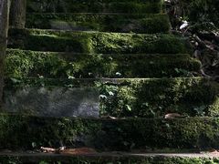 -龙苍沟森林公园