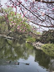 -悟空祛痘·诺奖技术专业店