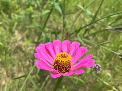 -三圣花乡旅游区