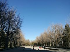 -玲珑塔公园