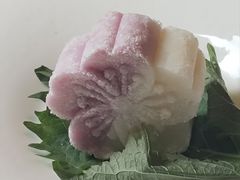 -芙蓉堂(武汉天地店)