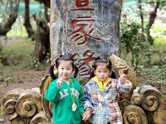 -北海金海湾红树林生态旅游区