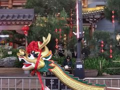 -越秀西湖花市(广州城市广场花卉店)