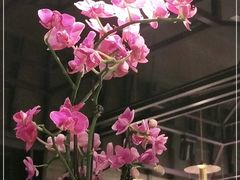 -LANN I 蘭 泰式古法按摩(徐家汇城开YOYO店)