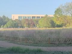 -艾溪湖湿地公园