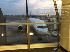 -约翰·菲茨杰拉德·肯尼迪国际机场