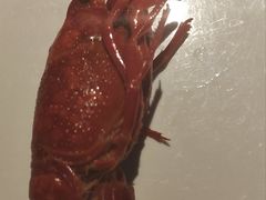 -七星龙虾城·海鲜·大闸蟹(吴江店)