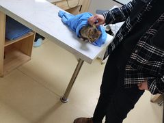 -格蕾宠物医院24H·猫科·肿瘤科·骨科中心(福州总院)