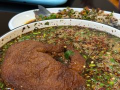 -小眼睛餐饮&杨杨夜宵