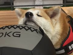 -YCHL Studios健身工作室(市二宫店)