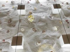 -青岛贝壳博物馆