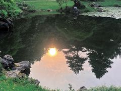 -杭州植物园