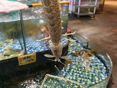 -大门水乡·顺德菜