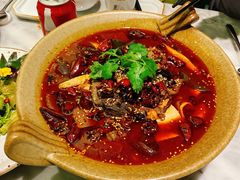 -辛香汇·现炒川菜(淮海路百盛店)