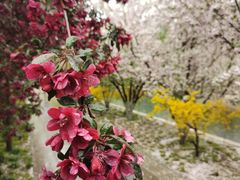 -元大都城垣遗址公园