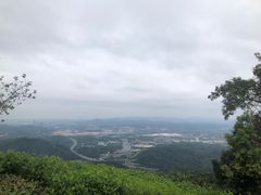 -黄埔油麻山森林公园