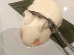 -苏州金科大酒店