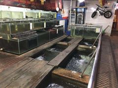 水产区-洞密园美食城·二十二年老店(富华路店)
