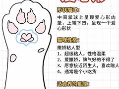 -纳吉亚猫专科动物诊疗中心(蒋宅口分院)