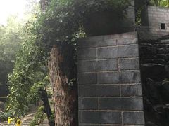 -牛忠喜烧饼