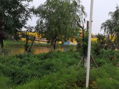 -北戴河圣蓝海洋公园