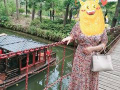 -合肥滨湖国家森林公园