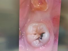 -金一口腔·舒适化正畸·儿牙中心