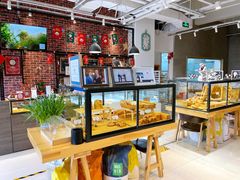 -熊叔熊婶面包房(团结湖店)