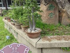 -苏州文庙(姑苏区)