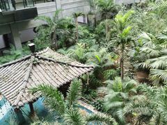 -黑龙江中医药大学附属第一医院