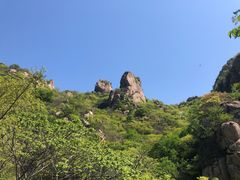-大岭沟猕猴桃谷风景区