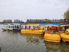 -上海长兴岛郊野公园