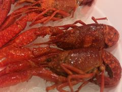 -红盔甲·小龙虾(车公庙店)