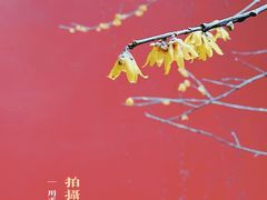 -钱王祠