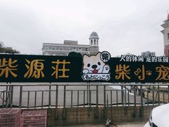 -柴源莊·柴小宠柴犬咖啡