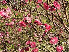 -水濂山森林公园