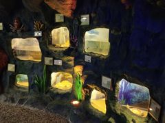 -上海大自然野生昆虫馆(东方明珠·爬宠昆虫探索中心)