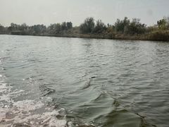 -南大港湿地风景区