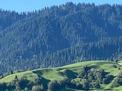 -新疆那拉提国家旅游度假区