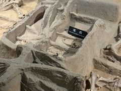 -洛阳周王城天子驾六博物馆