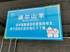 -洪湖家庭农场·团建·露营·会议