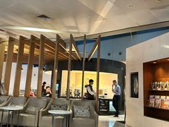 -虹桥机场国航贵宾室v8