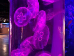 -秦皇岛新澳海底世界