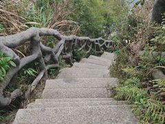-梧桐山风景名胜区