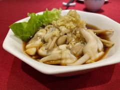 -老吉士酒家(天平路店)