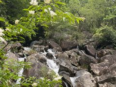 -大围山国家森林公园