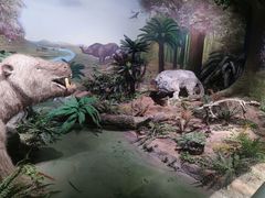 -湖南省地质博物馆