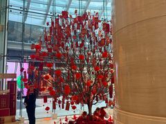 -上海雅居乐万豪侯爵酒店