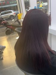 -董小姐的店