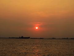 -吴淞炮台湾湿地森林公园烧烤区